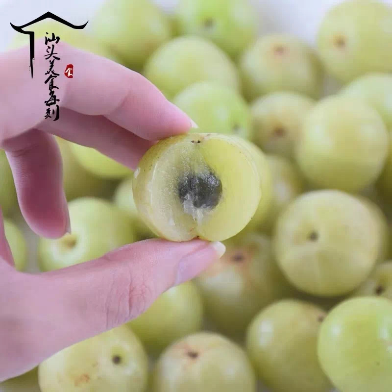 油甘3.jpg