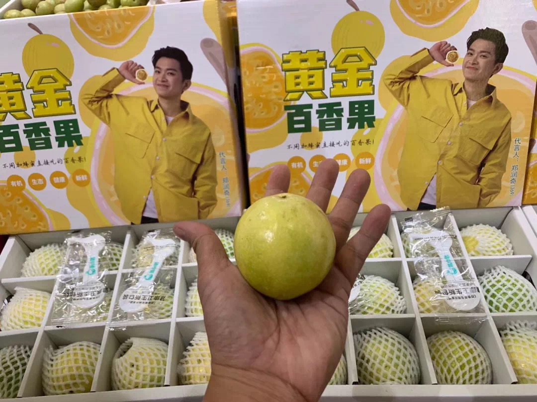 黄金百香果3.jpg