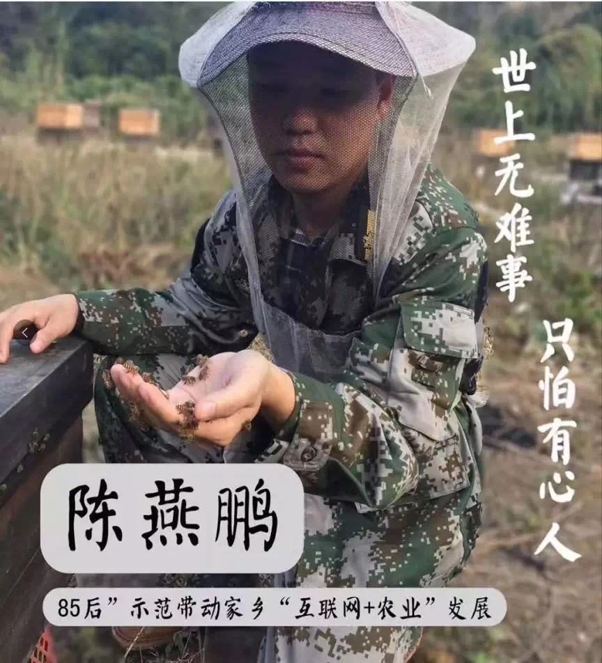 陈燕鹏.png