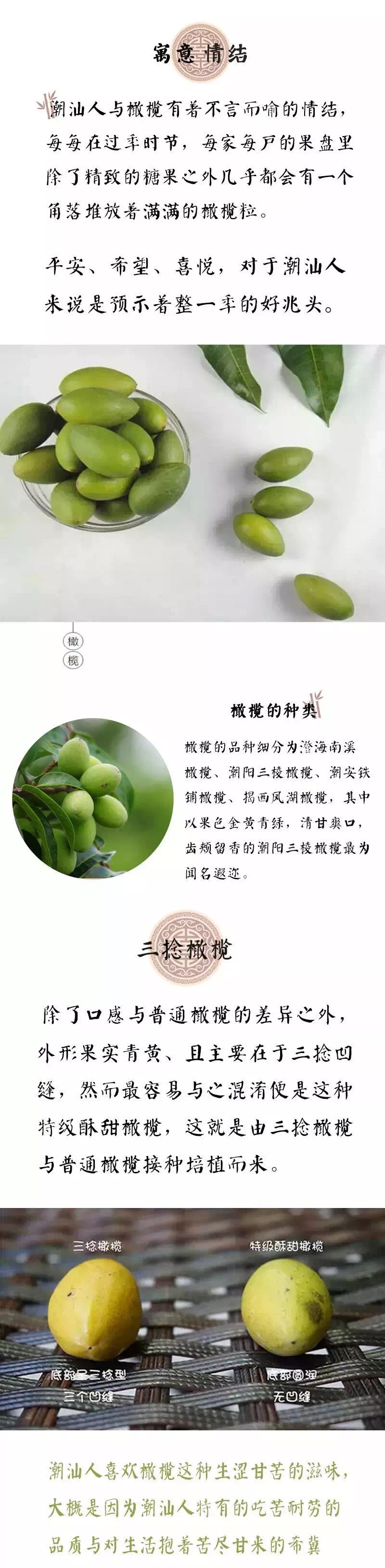 橄榄2.jpg