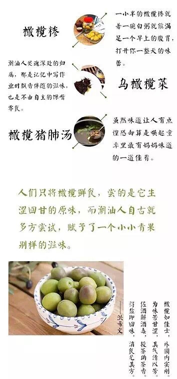 橄榄3.jpg