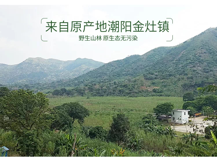 橄榄4.jpg