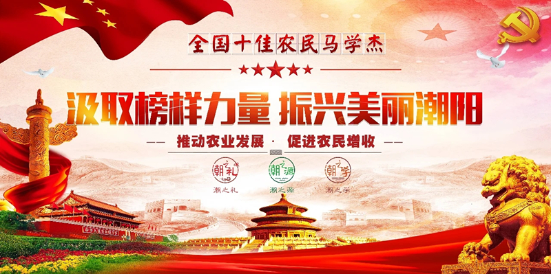 十佳1_副本.jpg